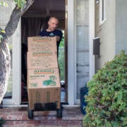 Furniture Moving Service