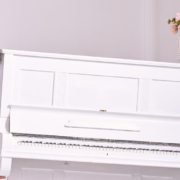 Mastering the Art of Affordable Piano Movers