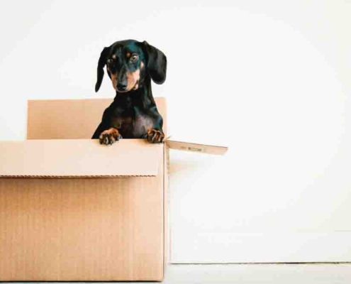 Discount Movers Nearby
