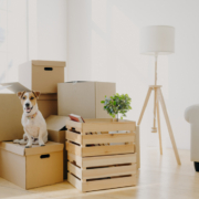 How Long in Advance Should I Contact Movers?